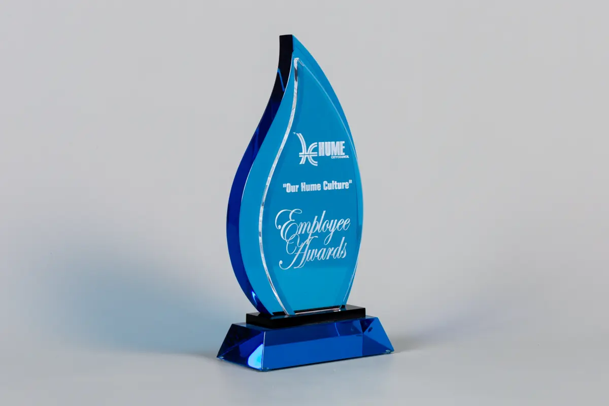 Dual Blaze Champion, Champion series